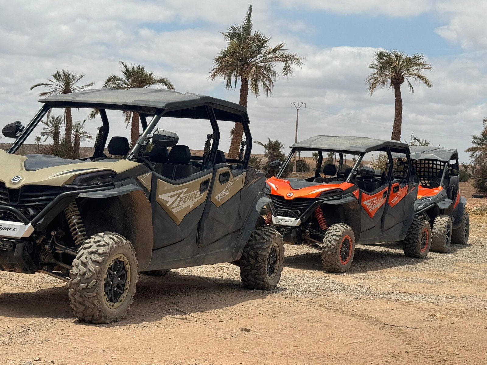 Buggy Ride Palm Grove Marrakech