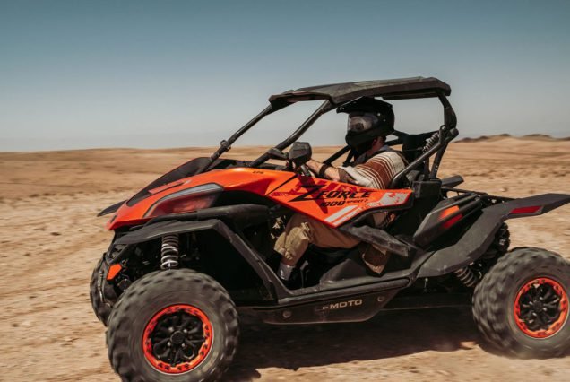 Buggy Ride Palm Grove Marrakech