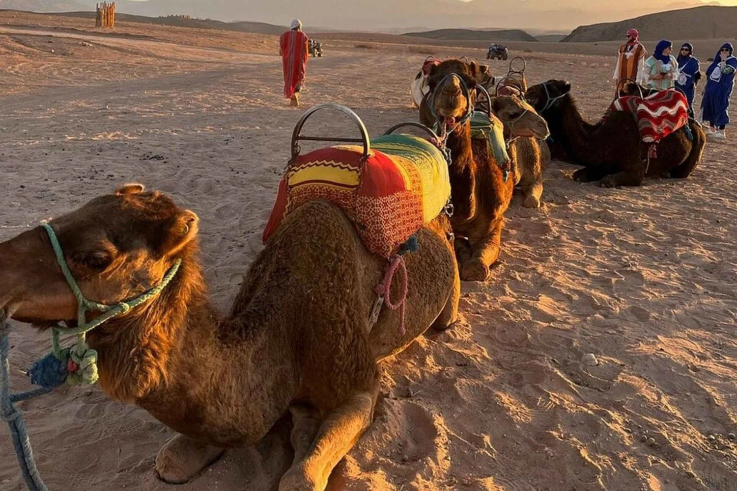 Quad and camel combo